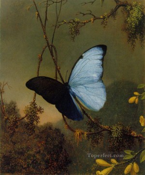 Blue Morpho Schmetterling ATC Romantic Martin Johnson Heade Tier Ölgemälde